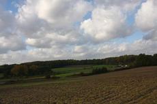 Herbststimmung-25-10-09 007.jpg